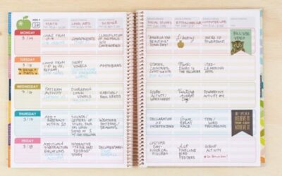 The Perfect Planner