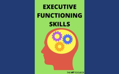 Local Tutoring Company Offers Executive Functioning Coaching!